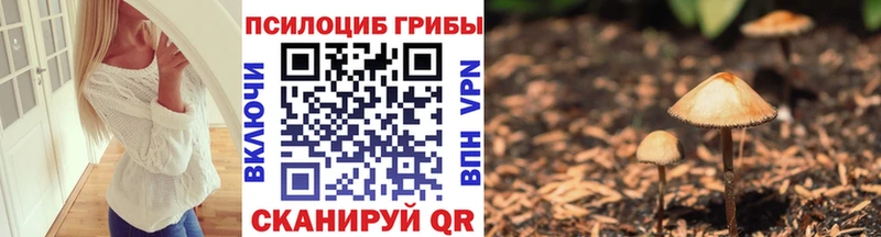 Псилоцибиновые грибы ЛСД  Купить где  Приморск 